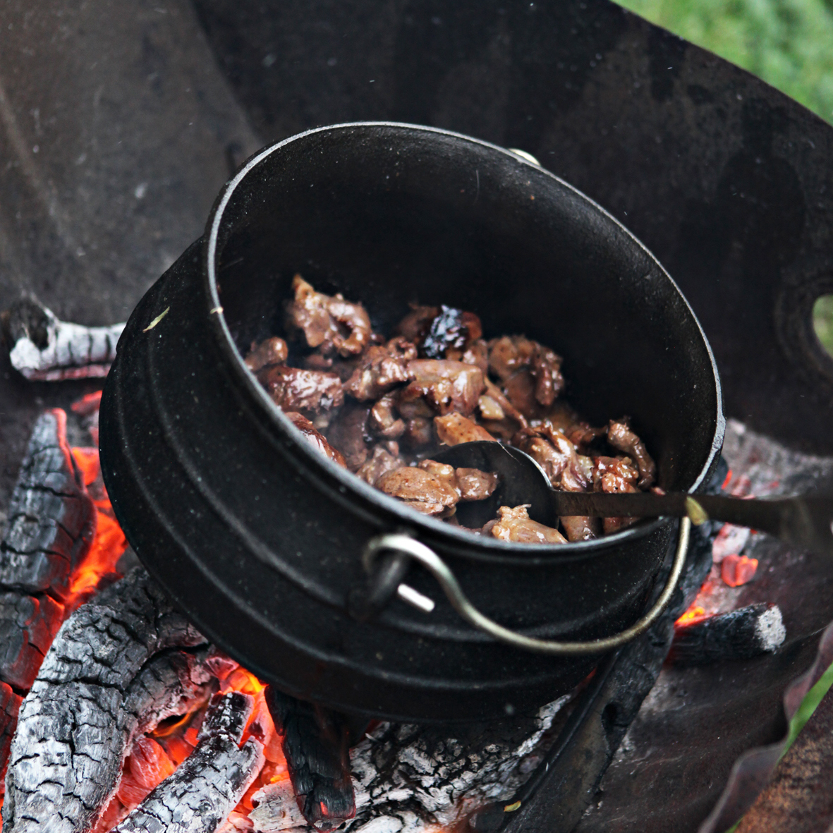 Braised Venison with Grapes